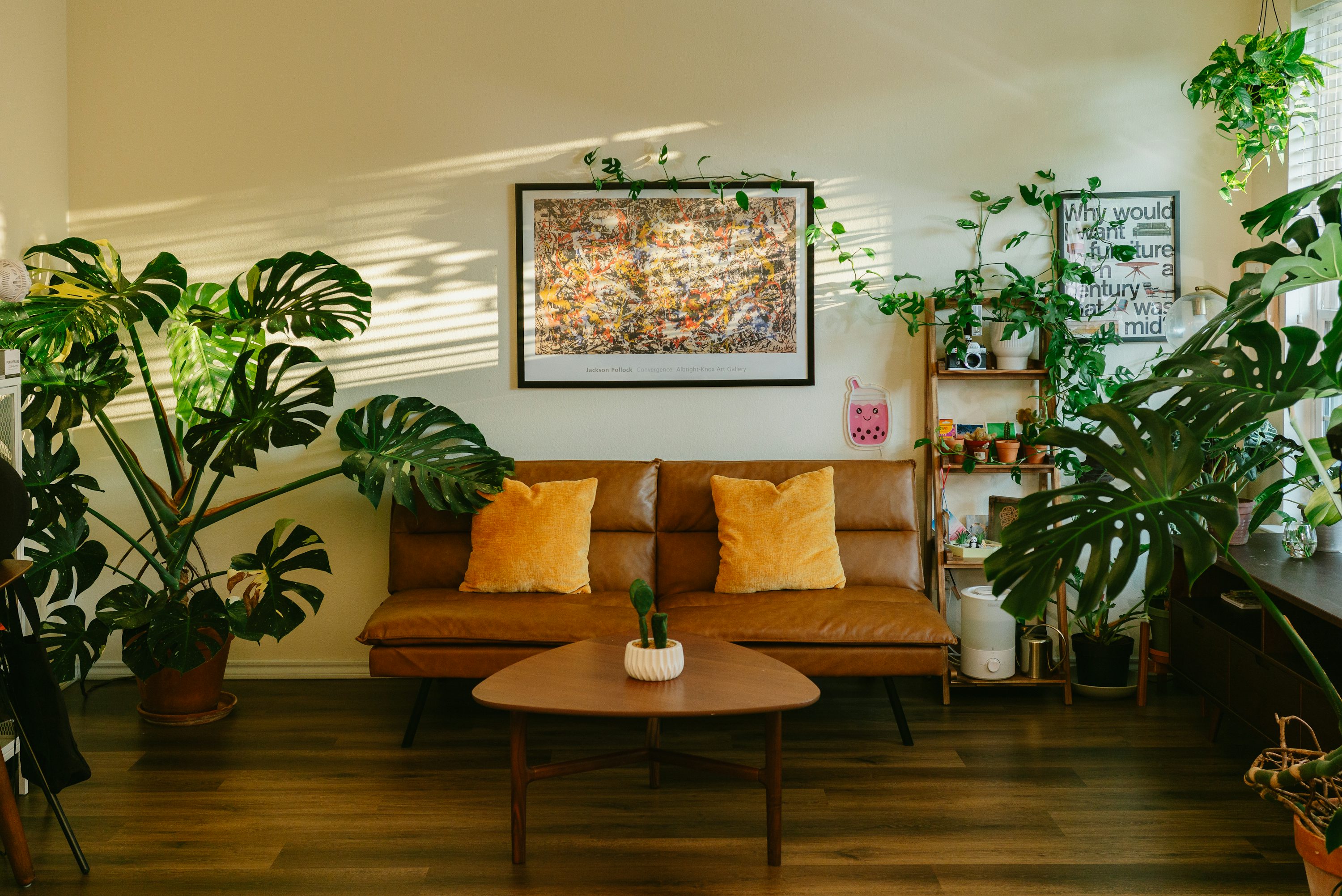 Warm sunlit living room with a sofa and plants